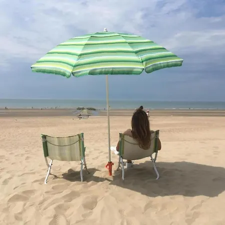 In Zeedijk With Sea View Daire *