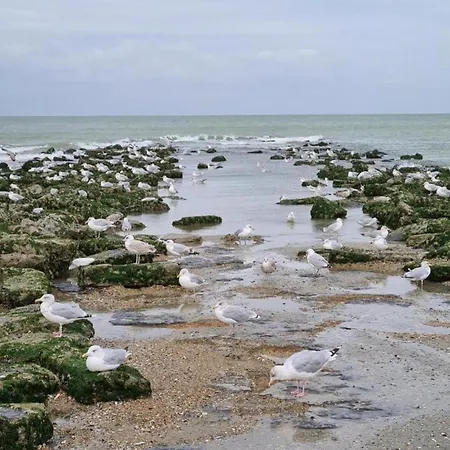 In Zeedijk With Sea View *