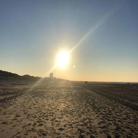 Daire In Zeedijk With Sea View *
