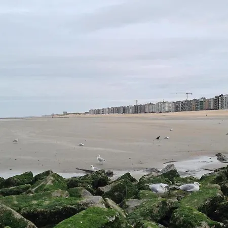 In Zeedijk With Sea View * 코크시데