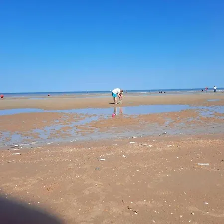 아파트 In Zeedijk With Sea View