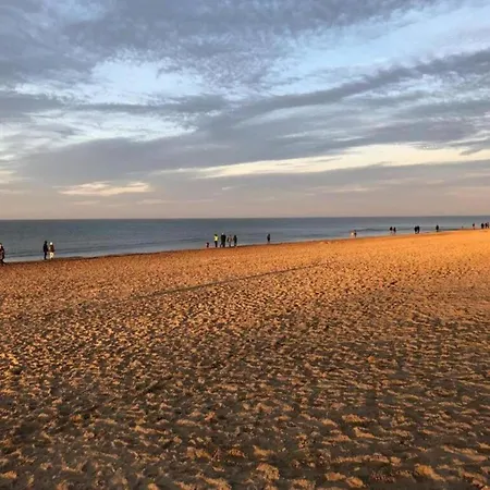 아파트 In Zeedijk With Sea View *