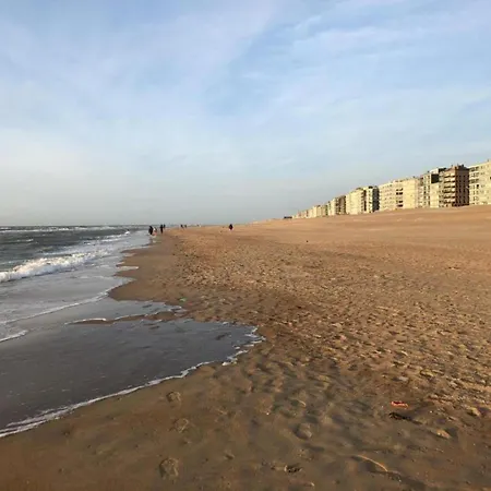 Daire In Zeedijk With Sea View Koksijde
