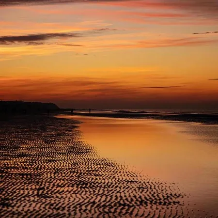 아파트 In Zeedijk With Sea View