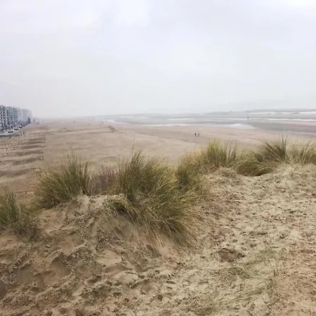 Daire In Zeedijk With Sea View *